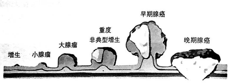 原书插图