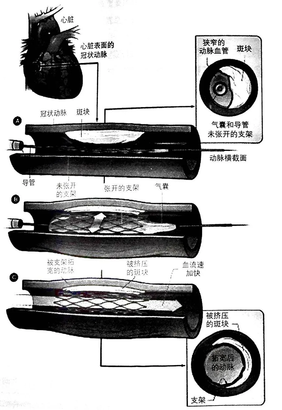原书插图
