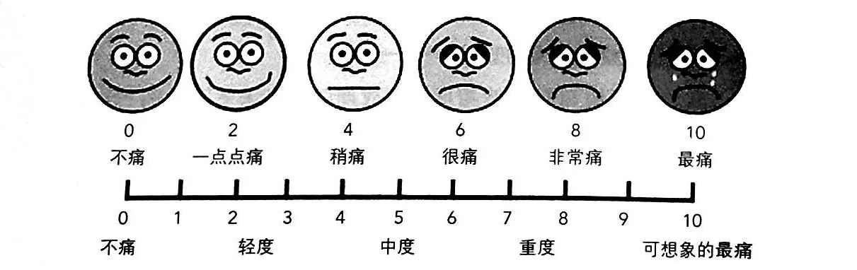 原书插图