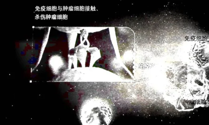 原书插图