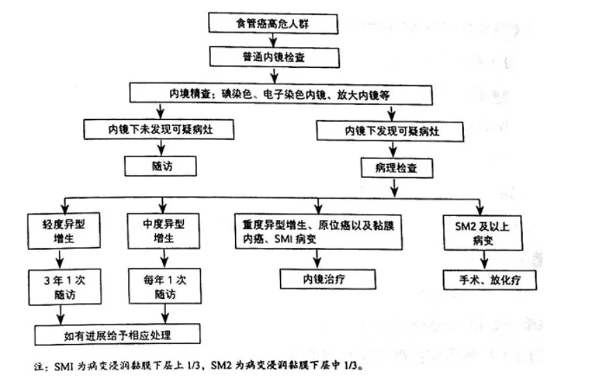 原书插图