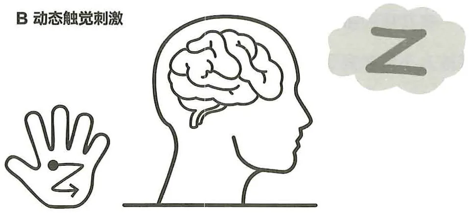 《脑科学讲义》第七部分：脑的未解难题原书插图