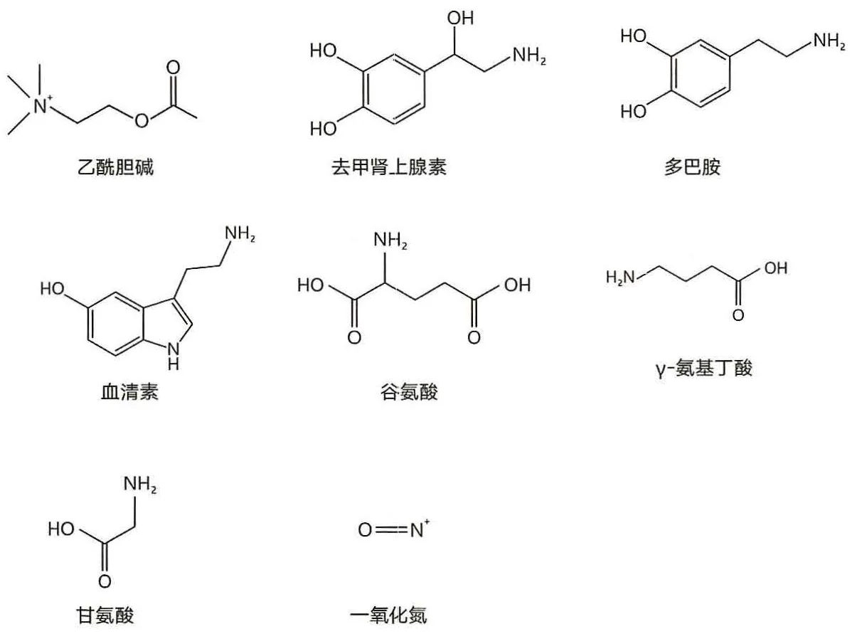 图7-2几种神经递质的化学结构