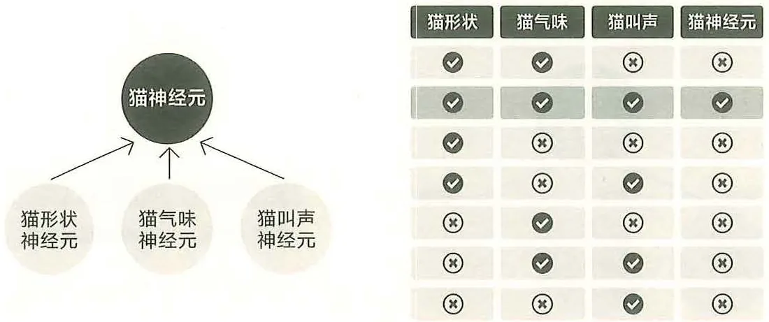 图8-4猫神经元激活的条件