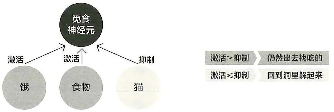 图8-5觅食神经元的激活过程