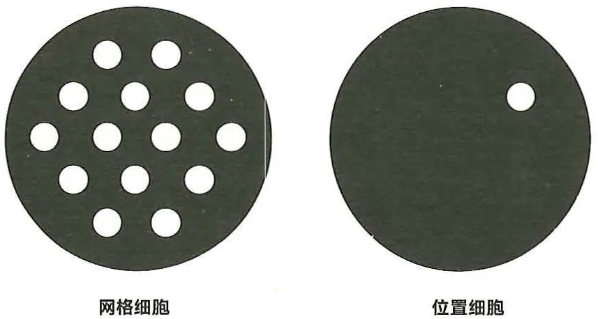 图14-2网格细胞与位置细胞