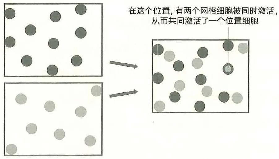 图14-3网格细胞激活位置细胞的原理