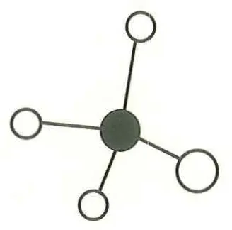 《脑科学讲义》序言原书插图