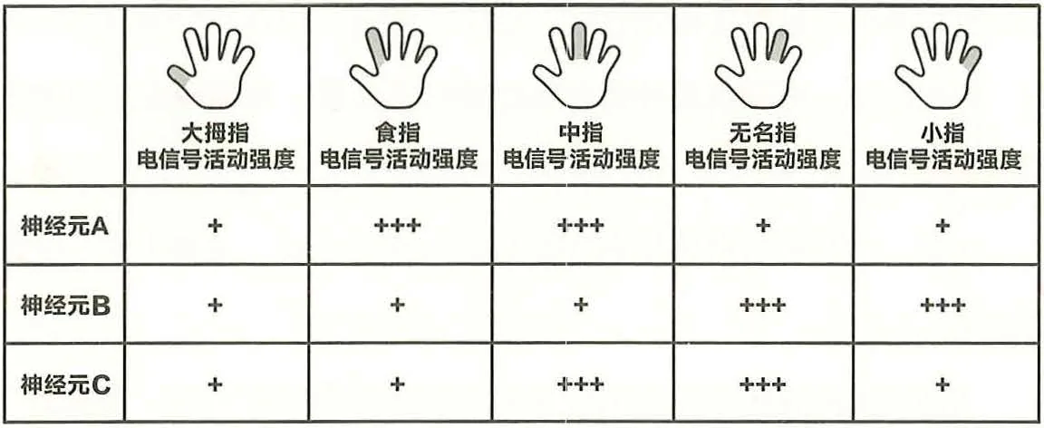 《脑科学讲义》第三部分 作为计算机器的脑原书插图