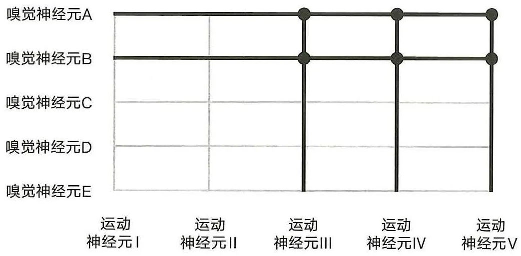 图20-5 果蝇学会躲避某种气味的原理