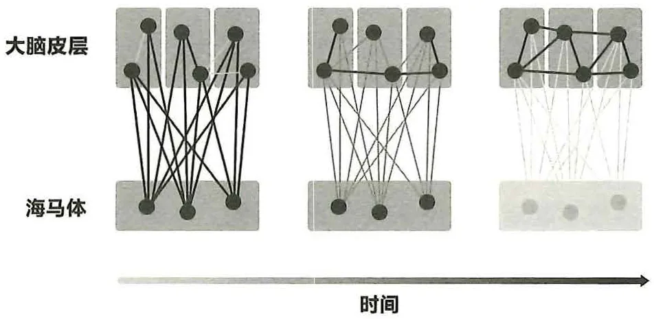 图22-2伴随着时间的推移，海马区内形成的记忆被转移到大脑皮层