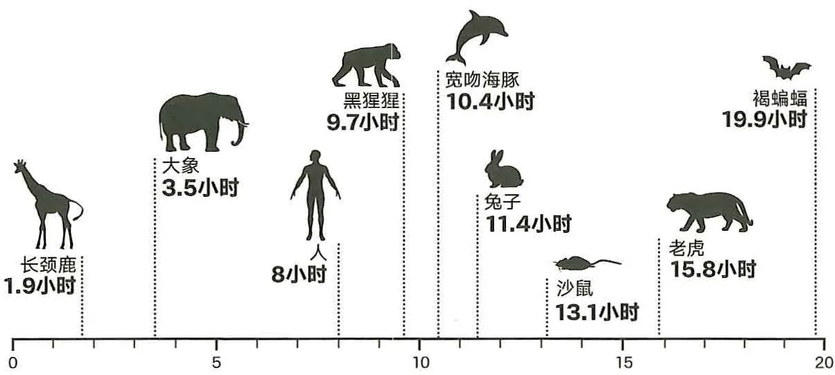 图27-1不同动物的平均睡眠时间