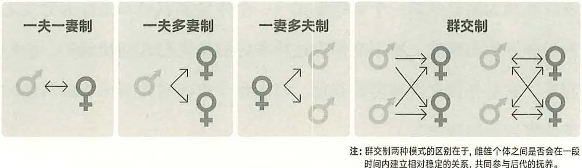 图28-2动物世界的几种婚姻制度