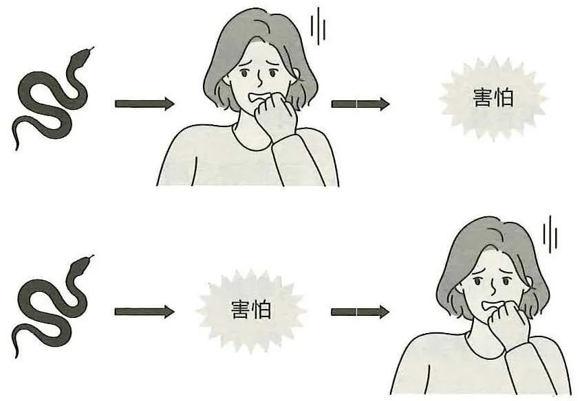 《脑科学讲义》第四部分 拥有动物灵魂的脑原书插图