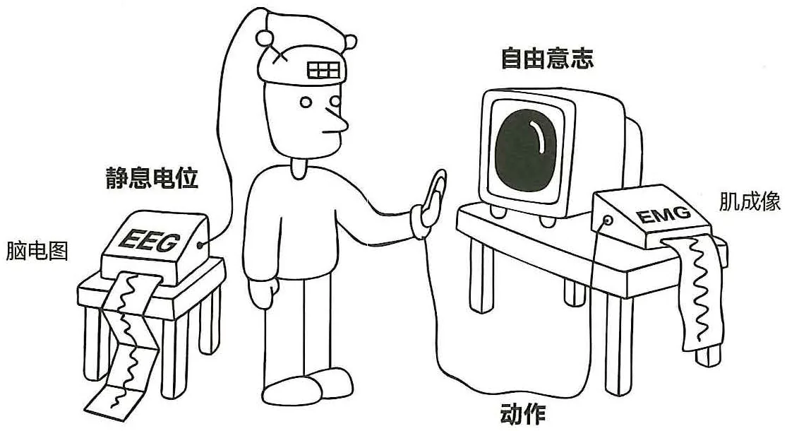 图39-1本杰明·利贝特的实验