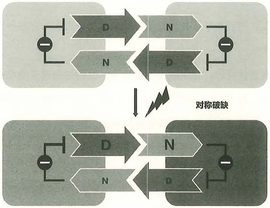 图 41-6 Notch-Delta 系统