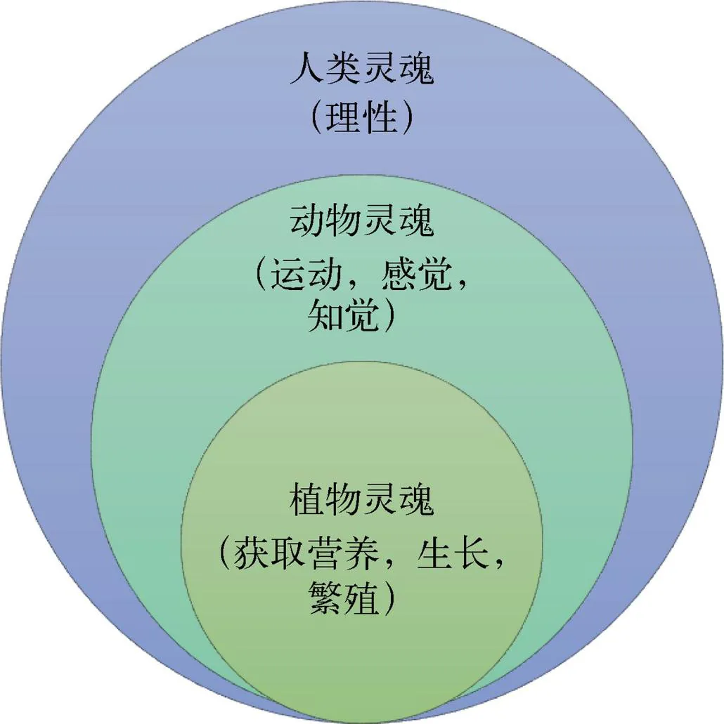 图 1-1　亚里士多德提出的三种灵魂