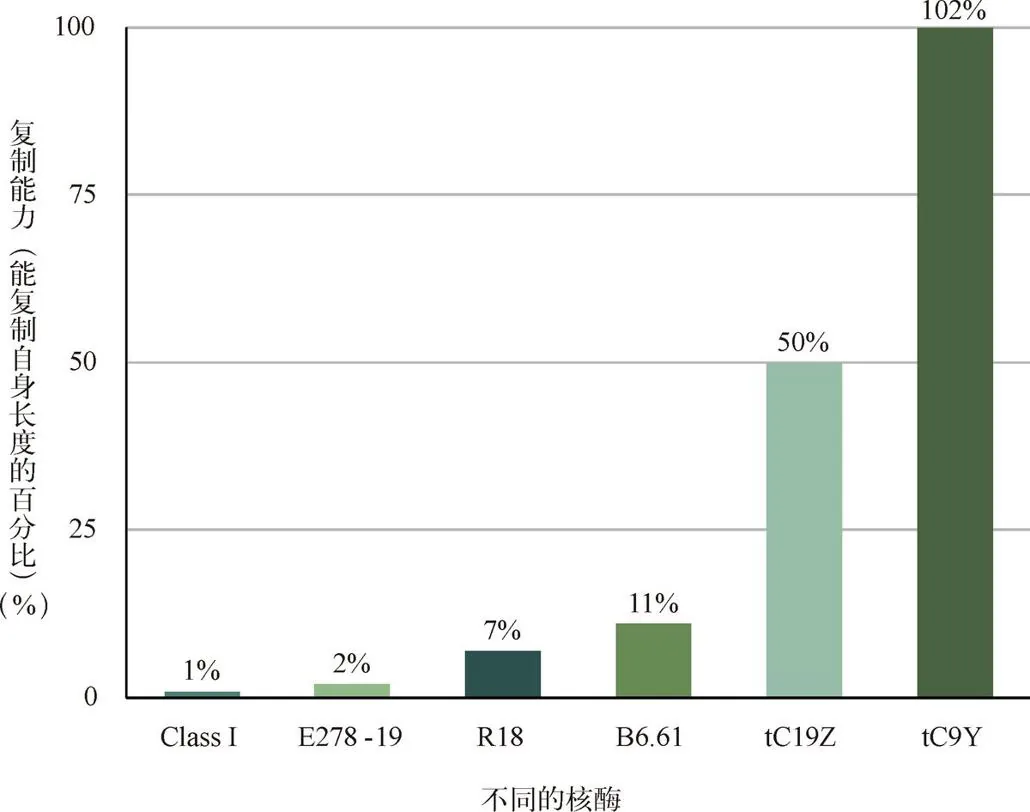 图 3-7　人工设计核酶的进展惊人。R18 能够复制长度为自身 7% 的序列，而最新的 tC9Y 核酶可以复制超过合成长度的 RNA 序列，至少在理论上，tC9Y 已经具备了自我复制的能力