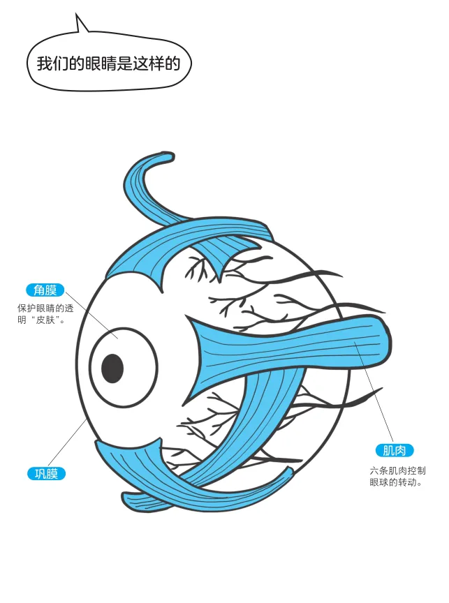 原书插图 003