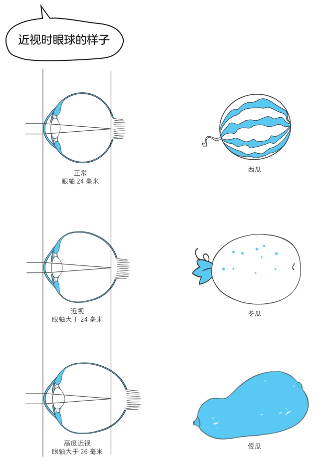 原书插图 010