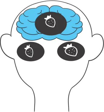 两只眼分别看到草莓后,由大脑把画面融合为一个草莓的示意