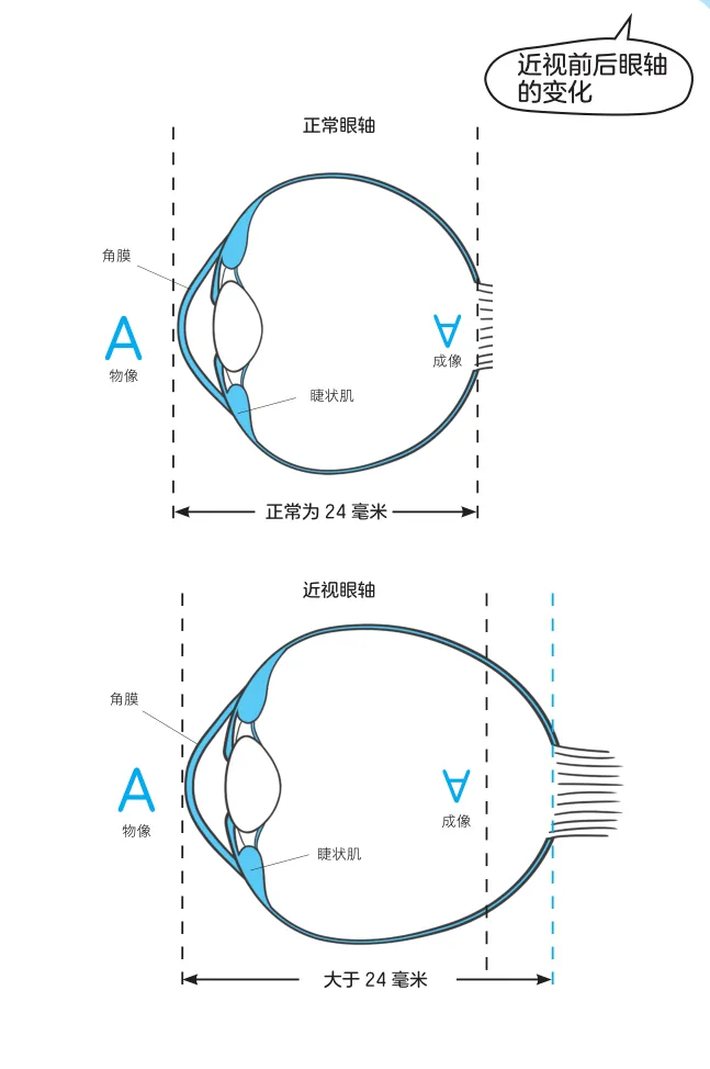 原书插图 018