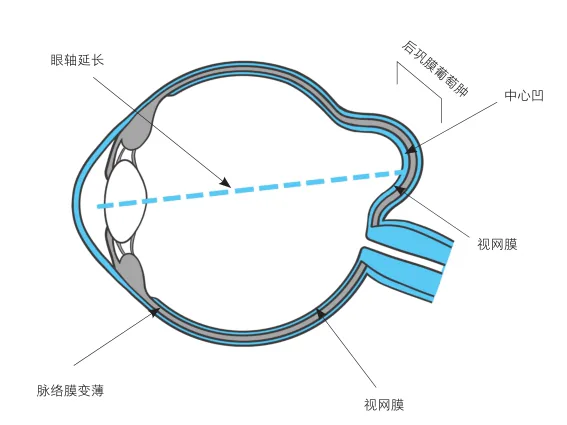 原书插图 065