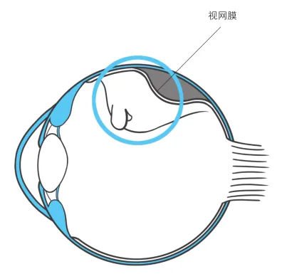 原书插图 068
