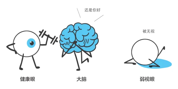 大脑抑制弱视眼画面的示意