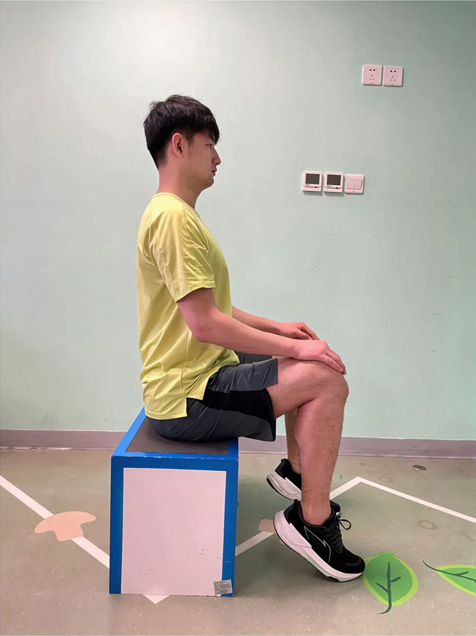 坐姿提踵抬起示范