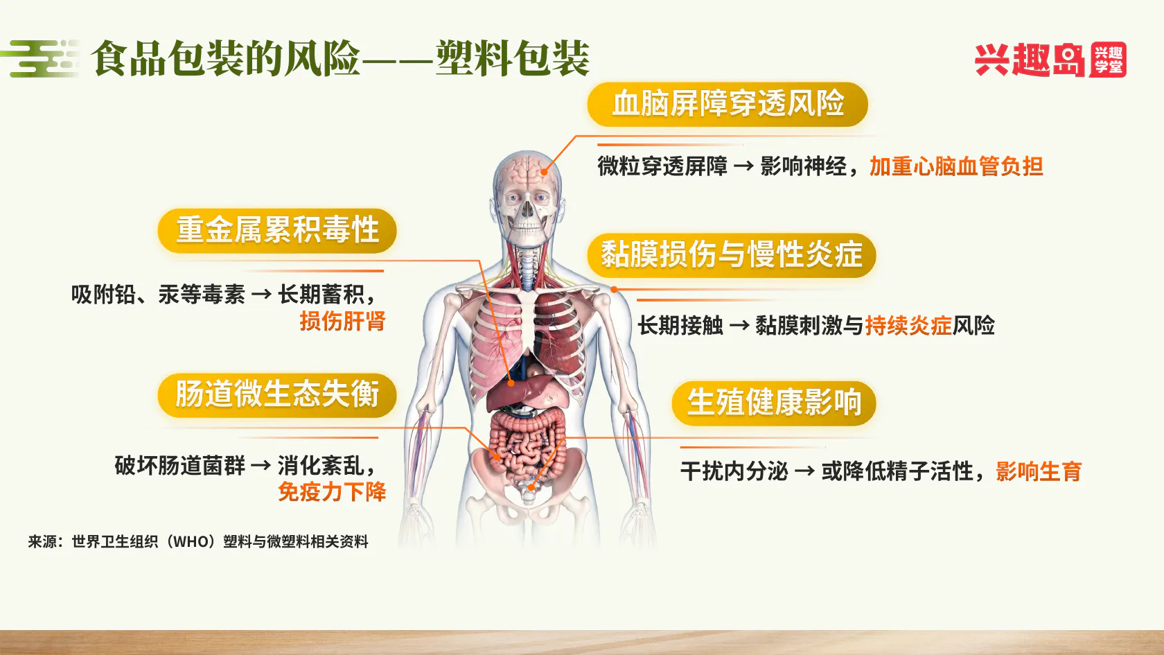 课程所述微塑料风险及人体示意