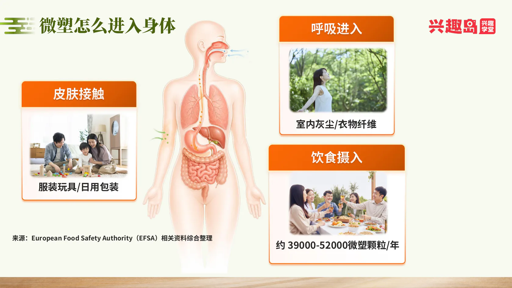 微塑料的皮肤接触、呼吸与饮食摄入途径