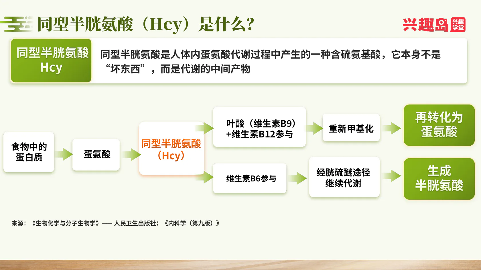 同型半胱氨酸与B族维生素代谢路径