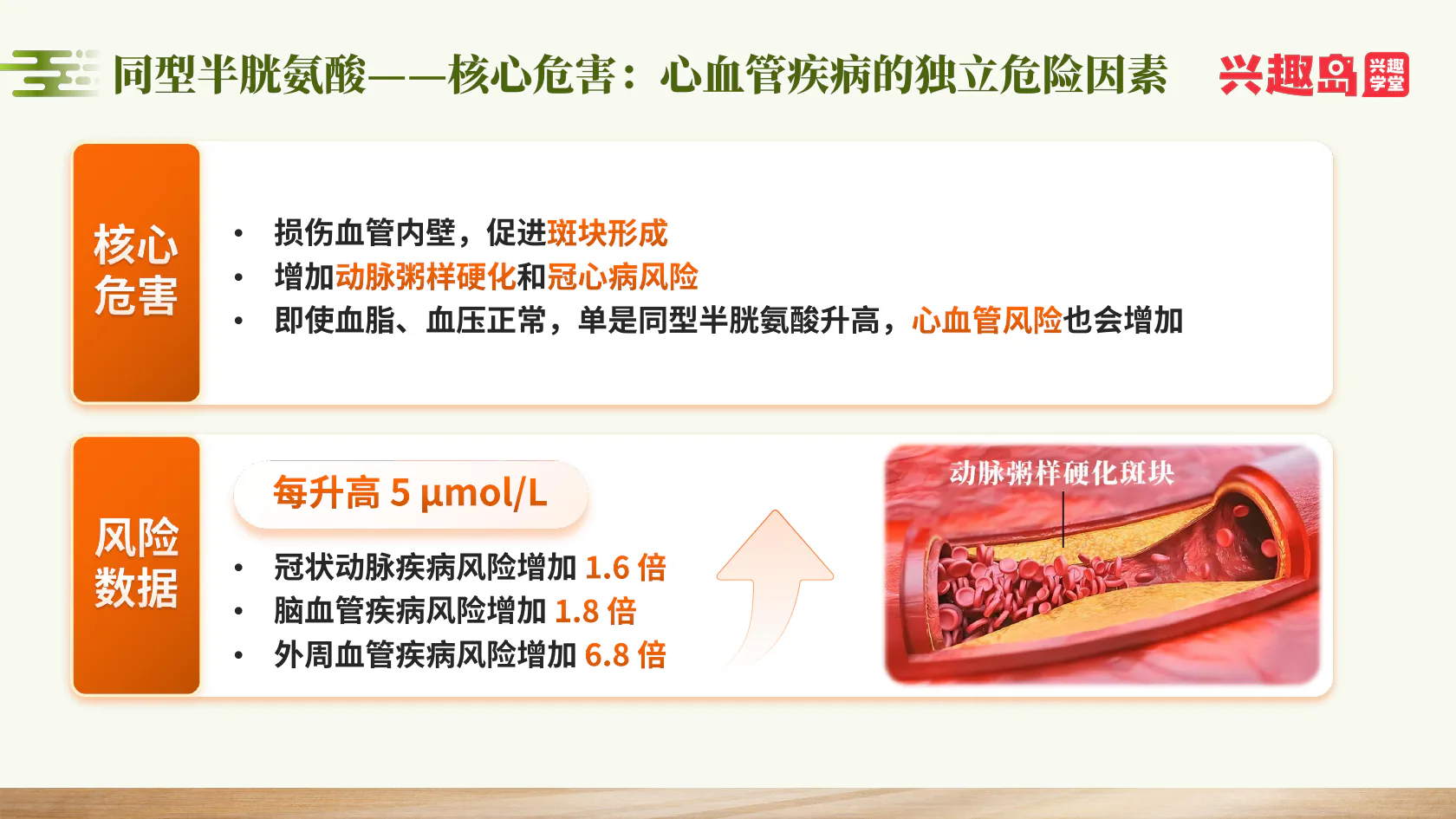血管内皮与心脑血管风险