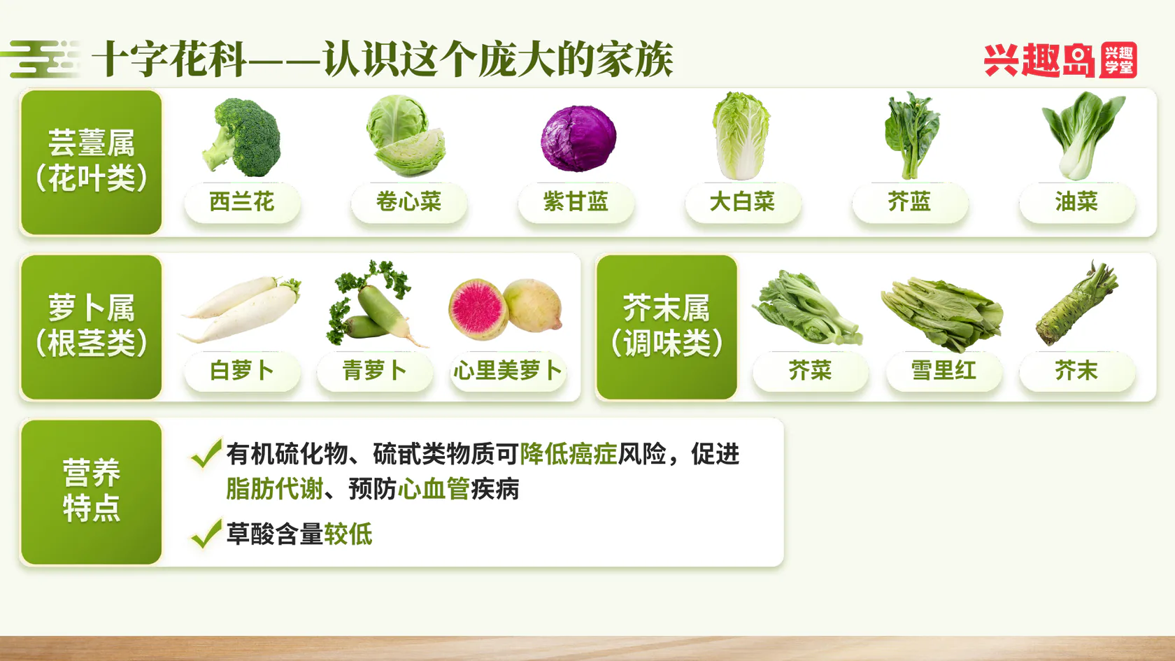 十字花科家族与营养特点