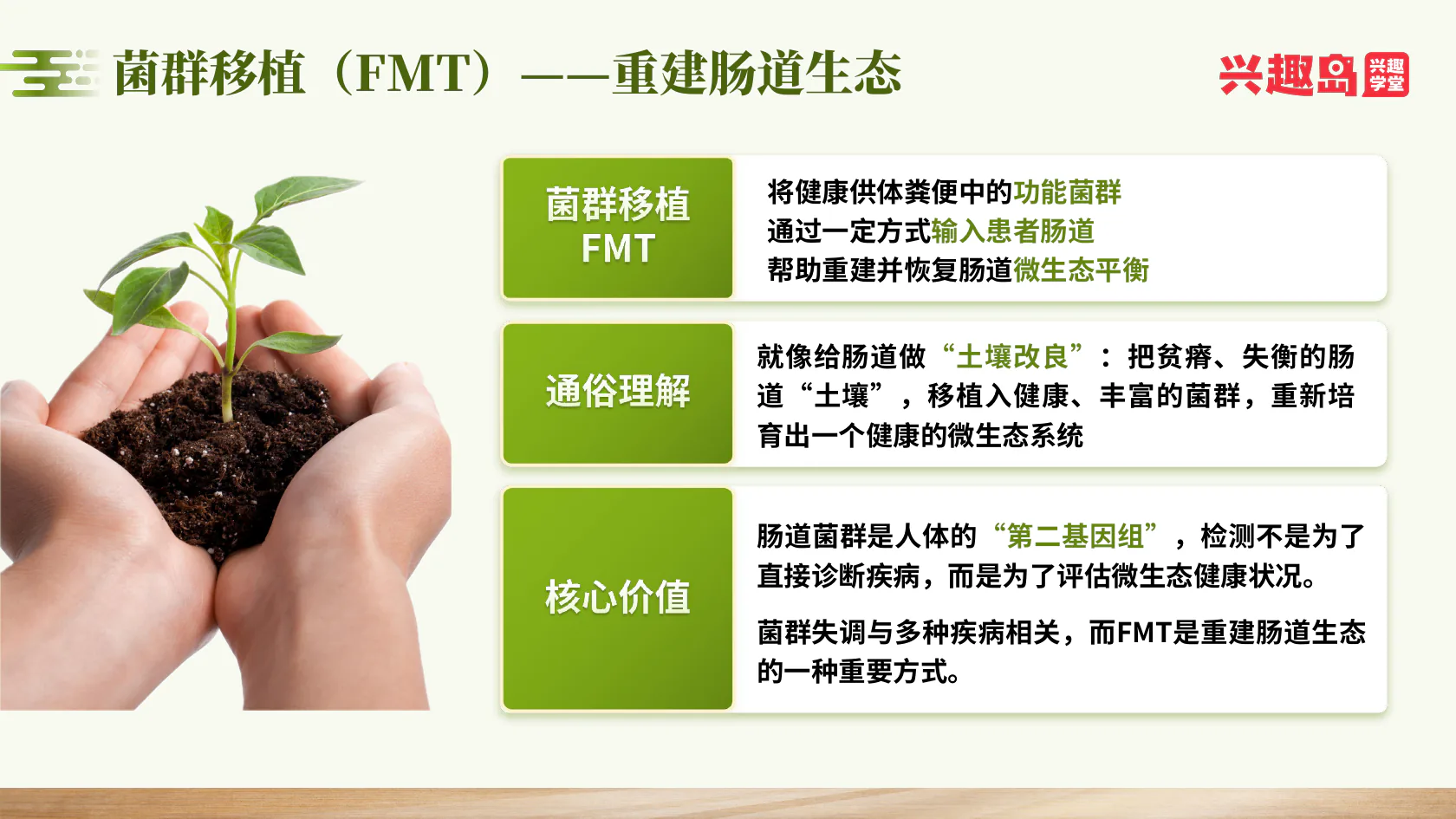 菌群移植与肠道生态