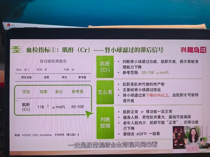 肌酐与肾小球过滤功能