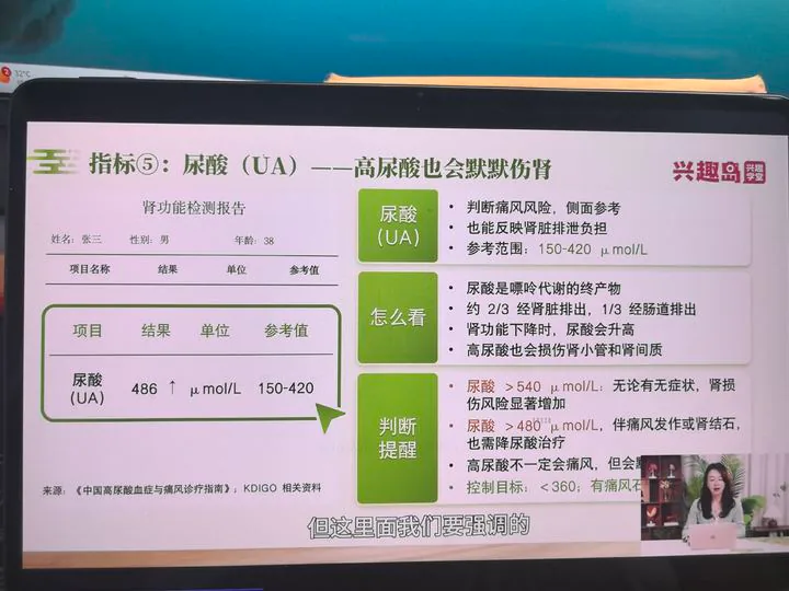 尿酸与肾脏功能