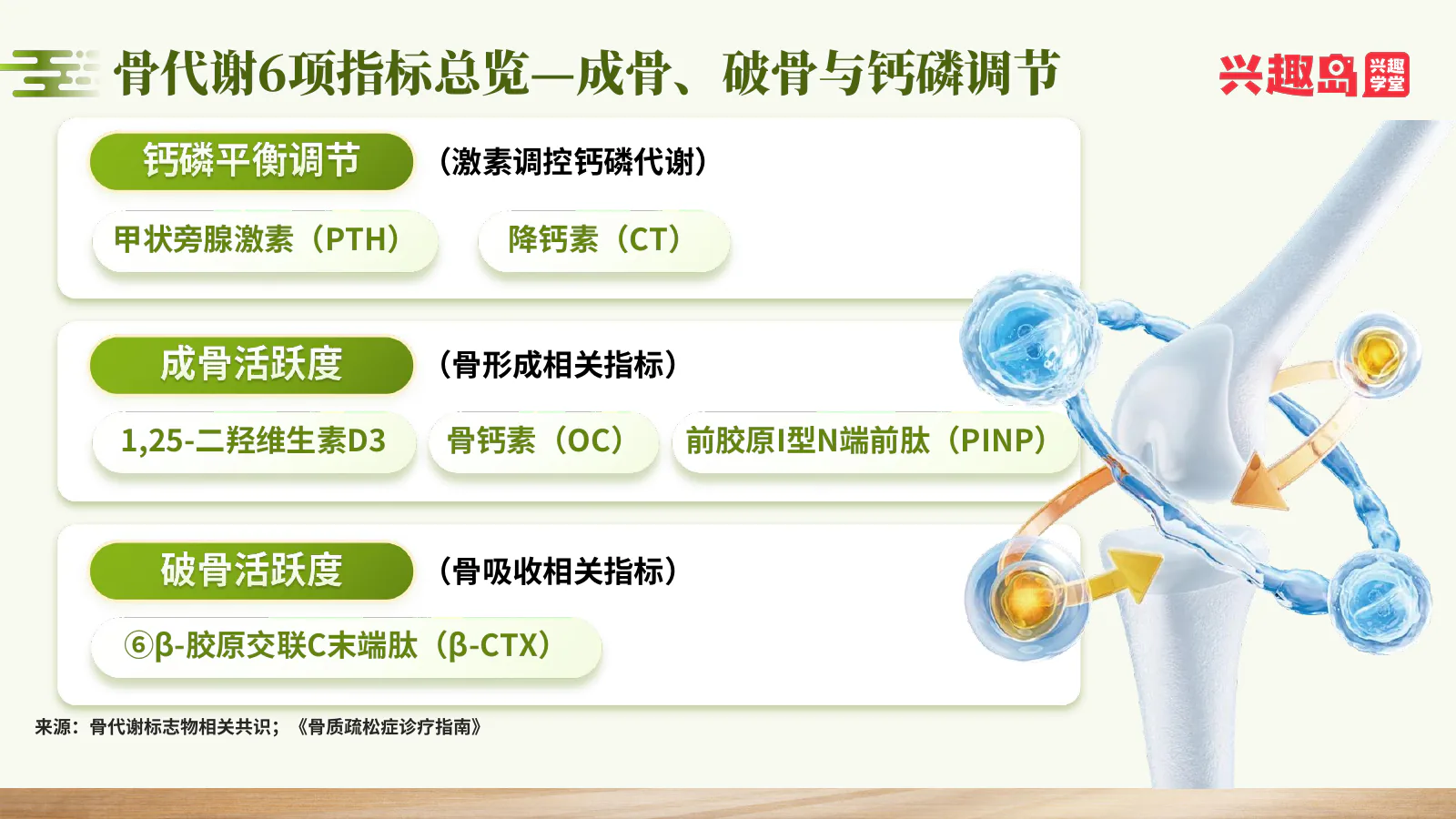 骨代谢三组功能指标