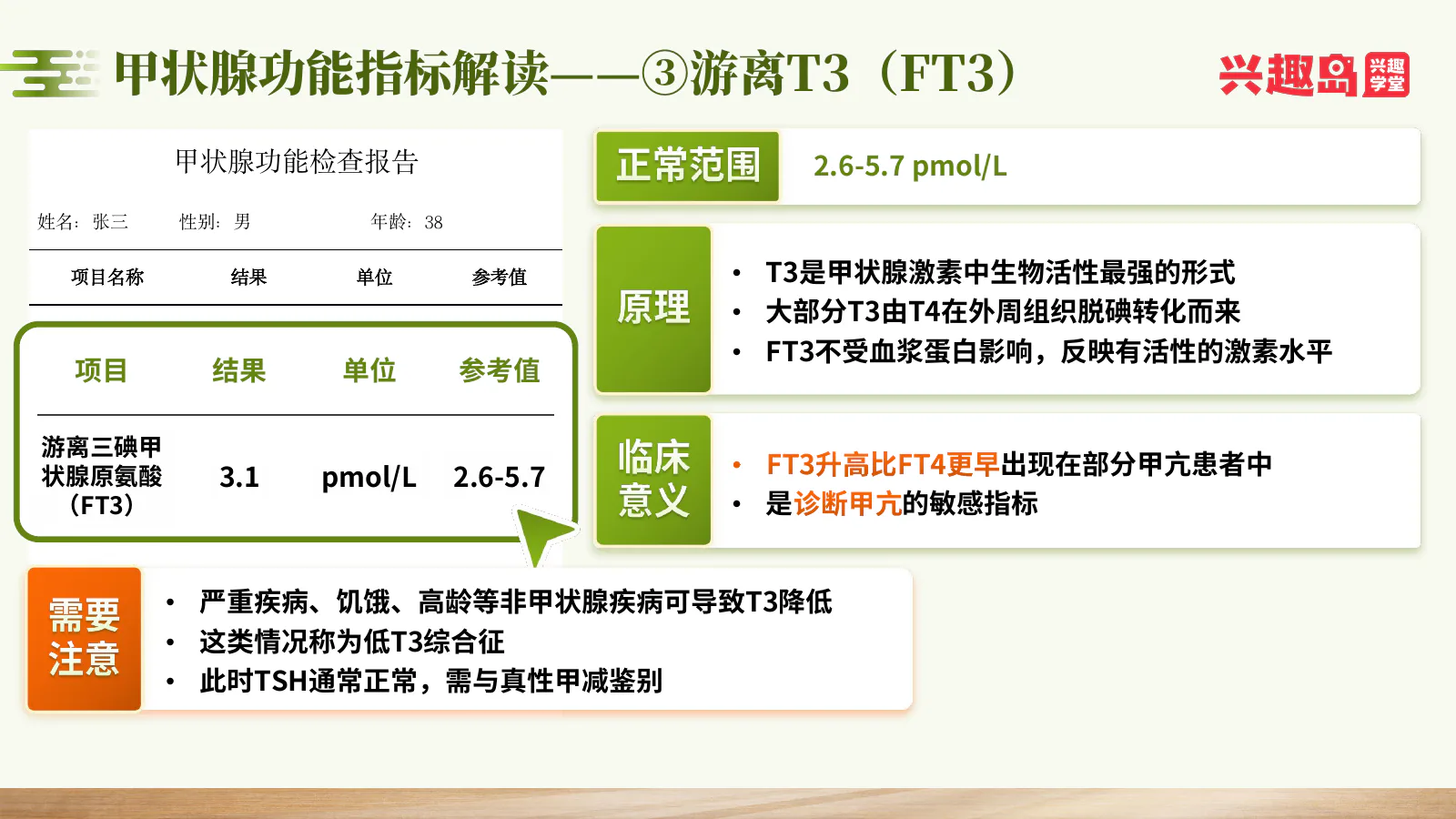 游离T3检查报告与解读