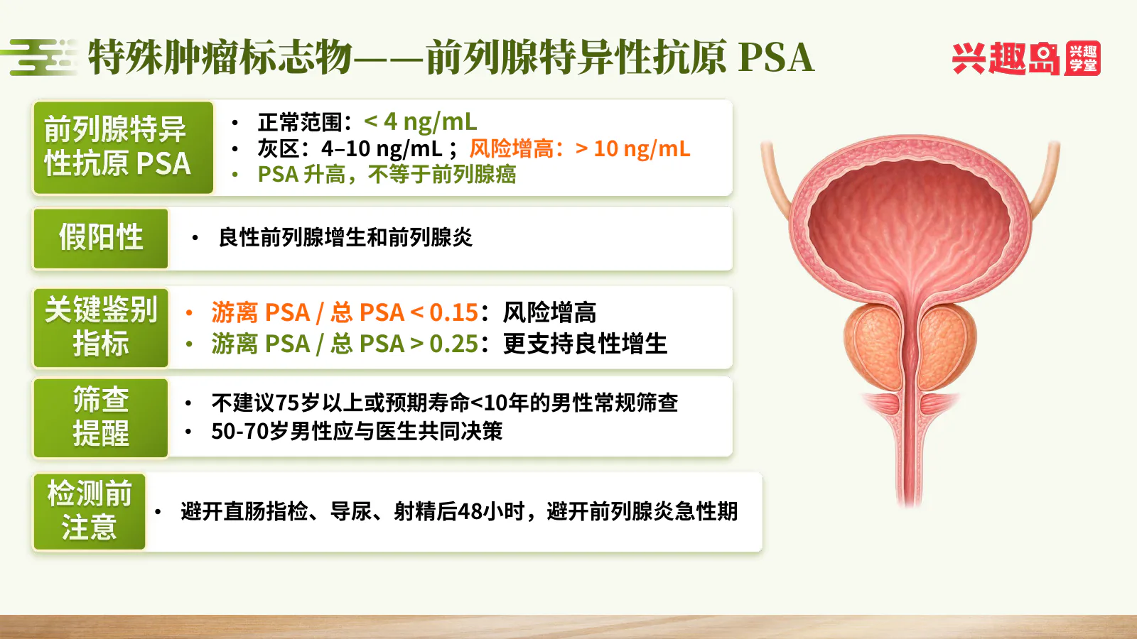 前列腺特异性抗原PSA