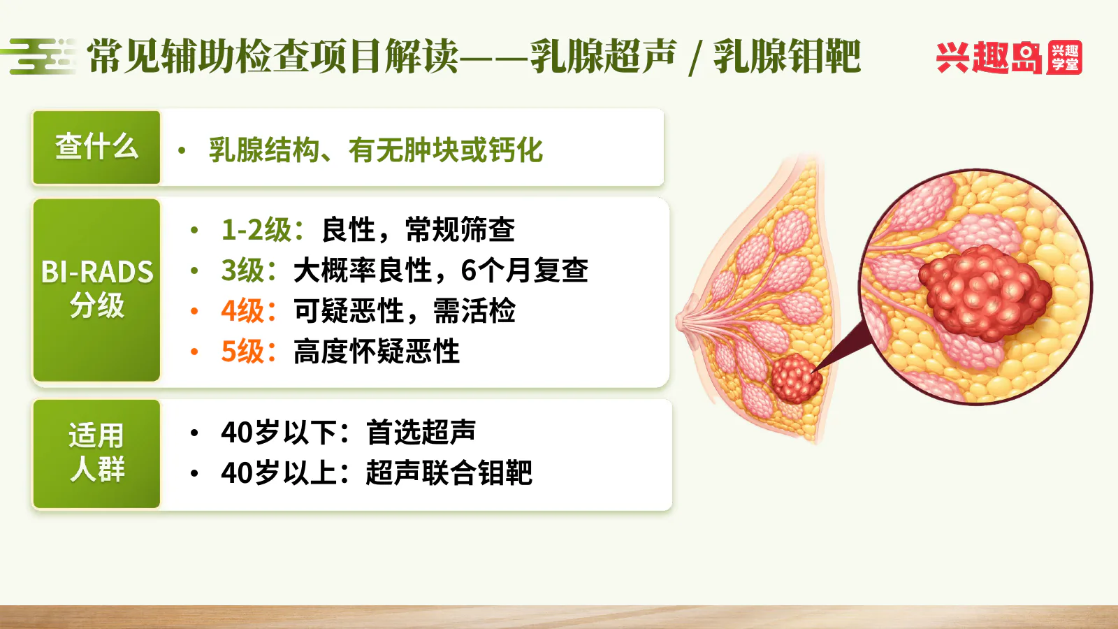 乳腺超声/乳腺钼靶