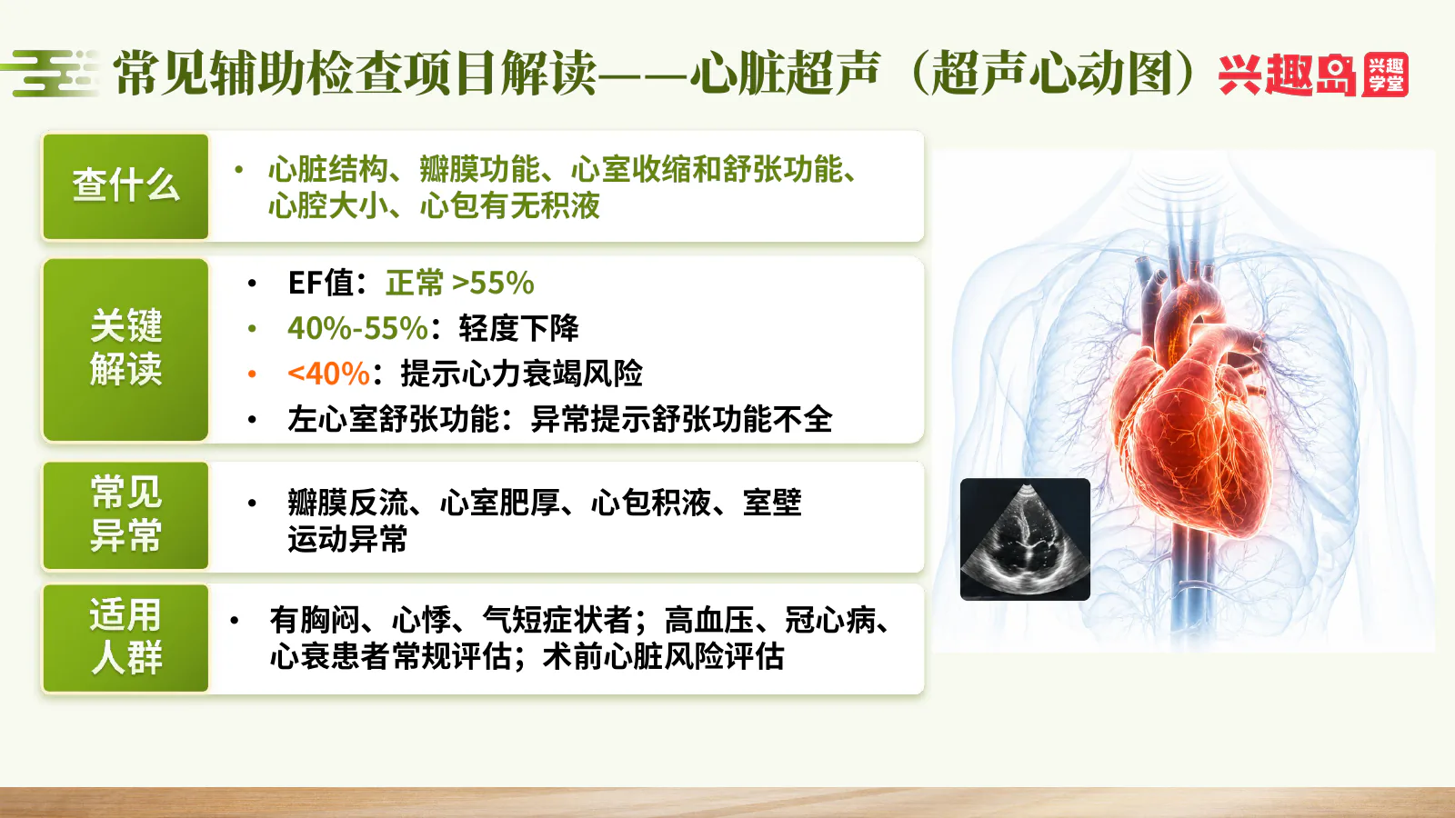 心脏超声
