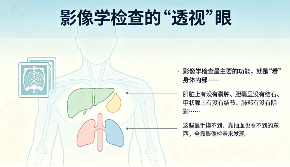 独立知识分享原图：影像学检查的“透视”眼，人体器官与检查用途示意
