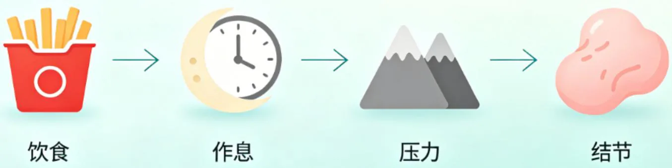 独立知识分享原图：饮食、作息、压力与结节的关系示意，按材料原有箭头顺序保留