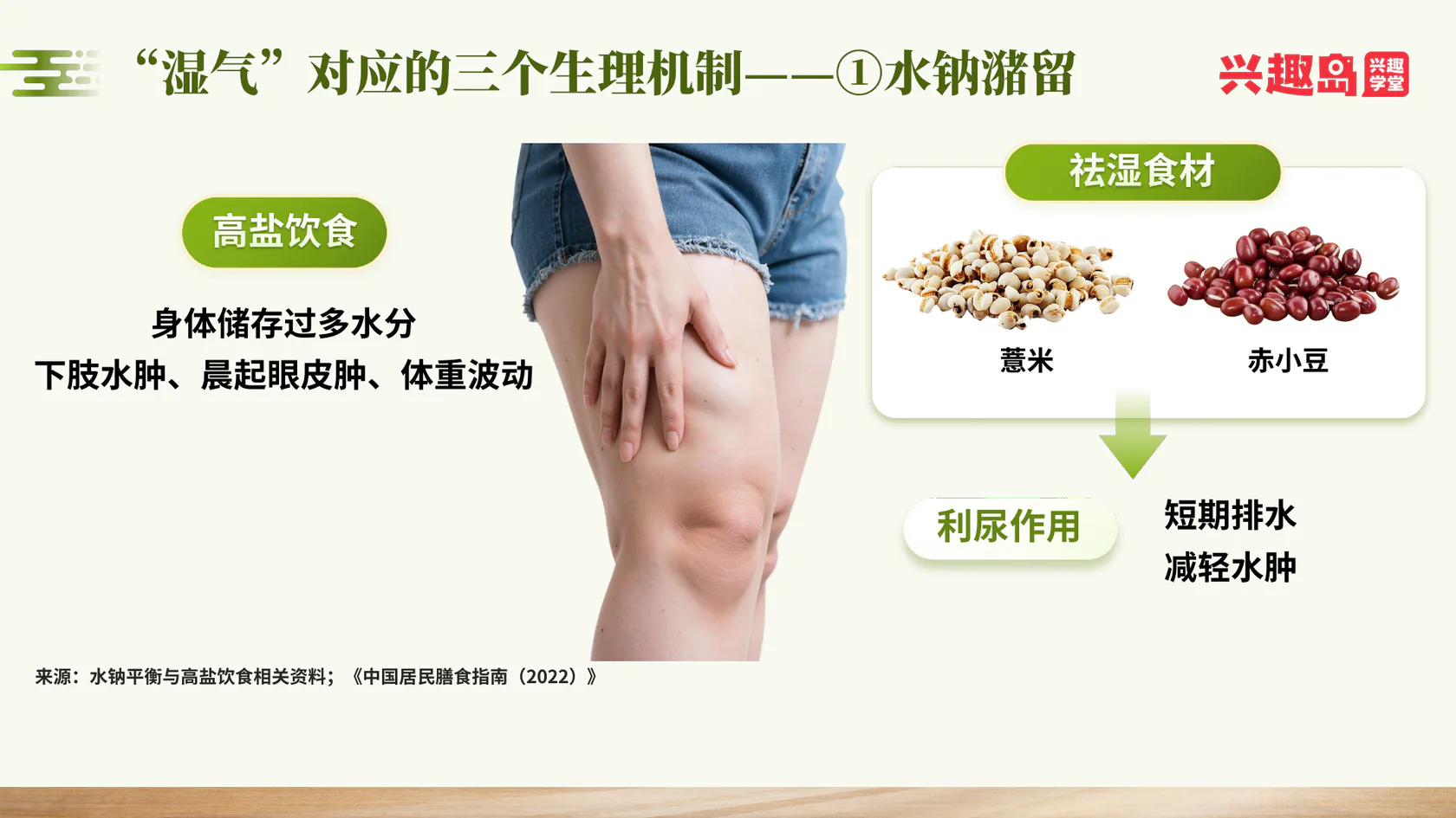 湿气对应的生理机制一：水钠潴留