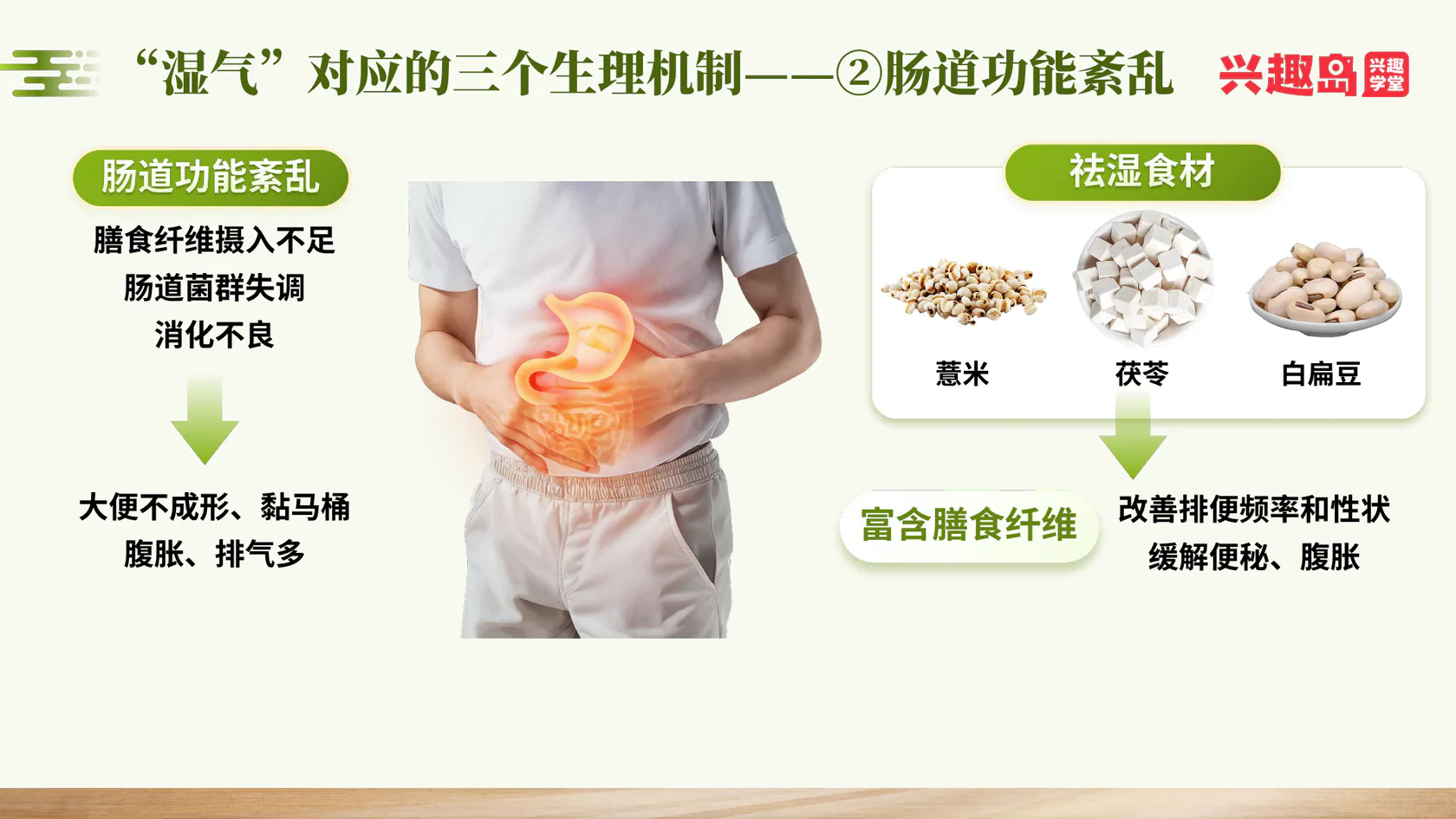 湿气对应的生理机制二：肠道功能紊乱