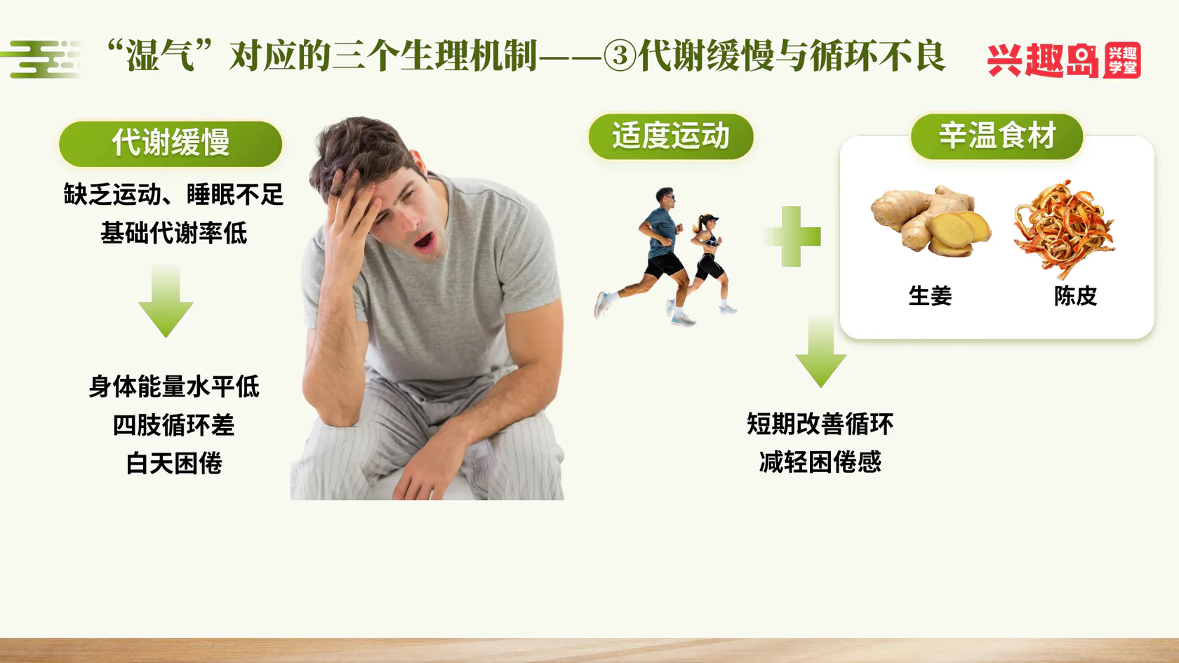湿气对应的生理机制三：代谢缓慢与循环不良