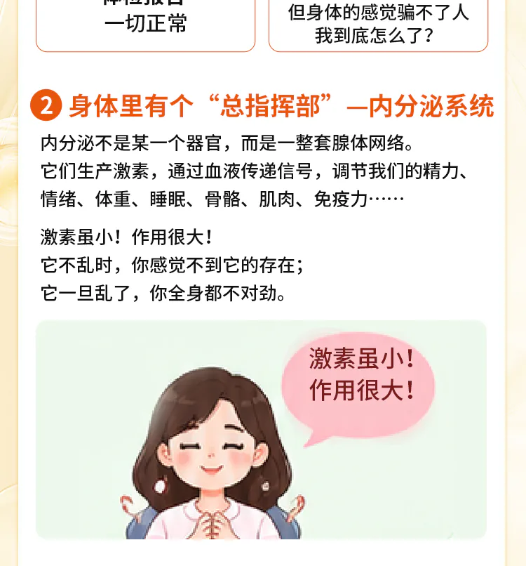 第01讲课程原图第3/9段:内分泌是一整套腺体网络