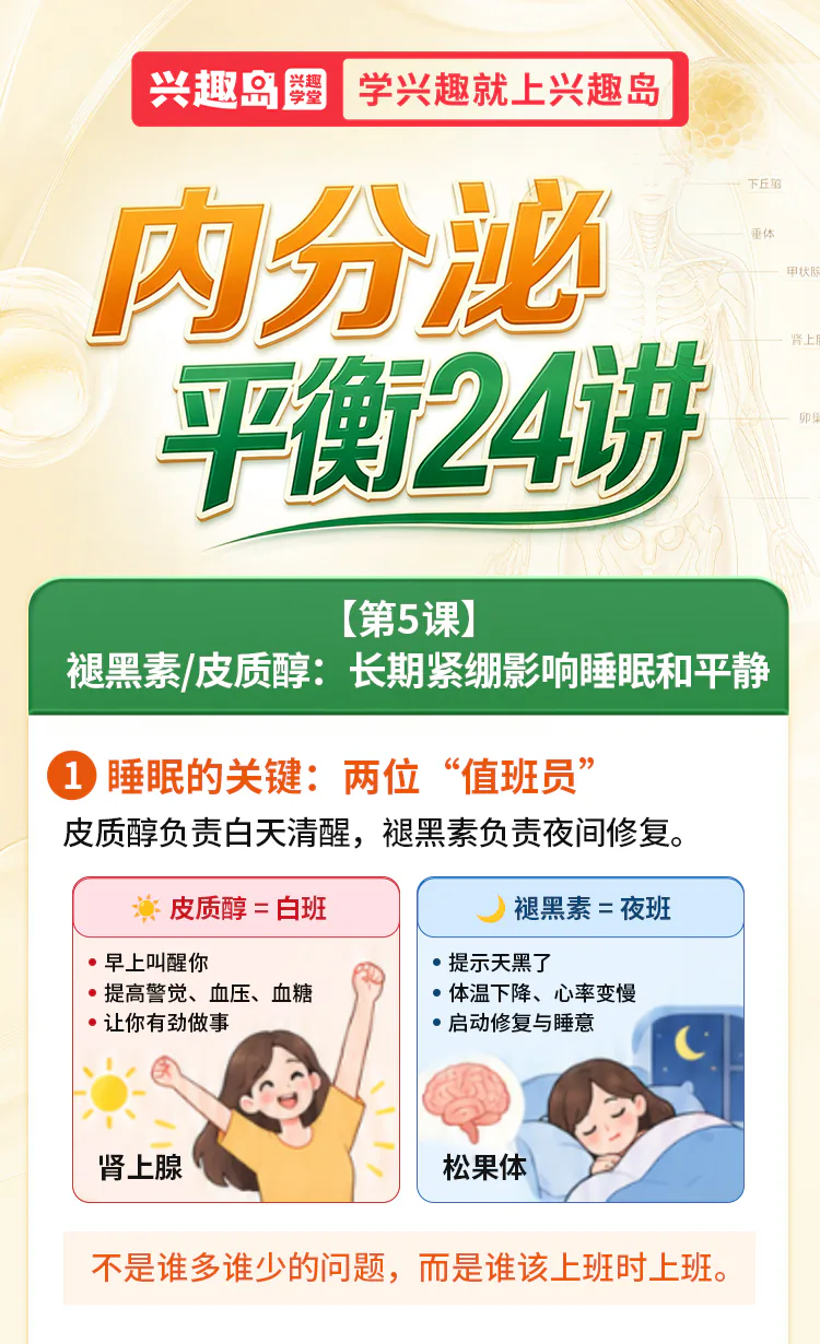 第05讲课程原图第1/7段：皮质醇与褪黑素两位值班员